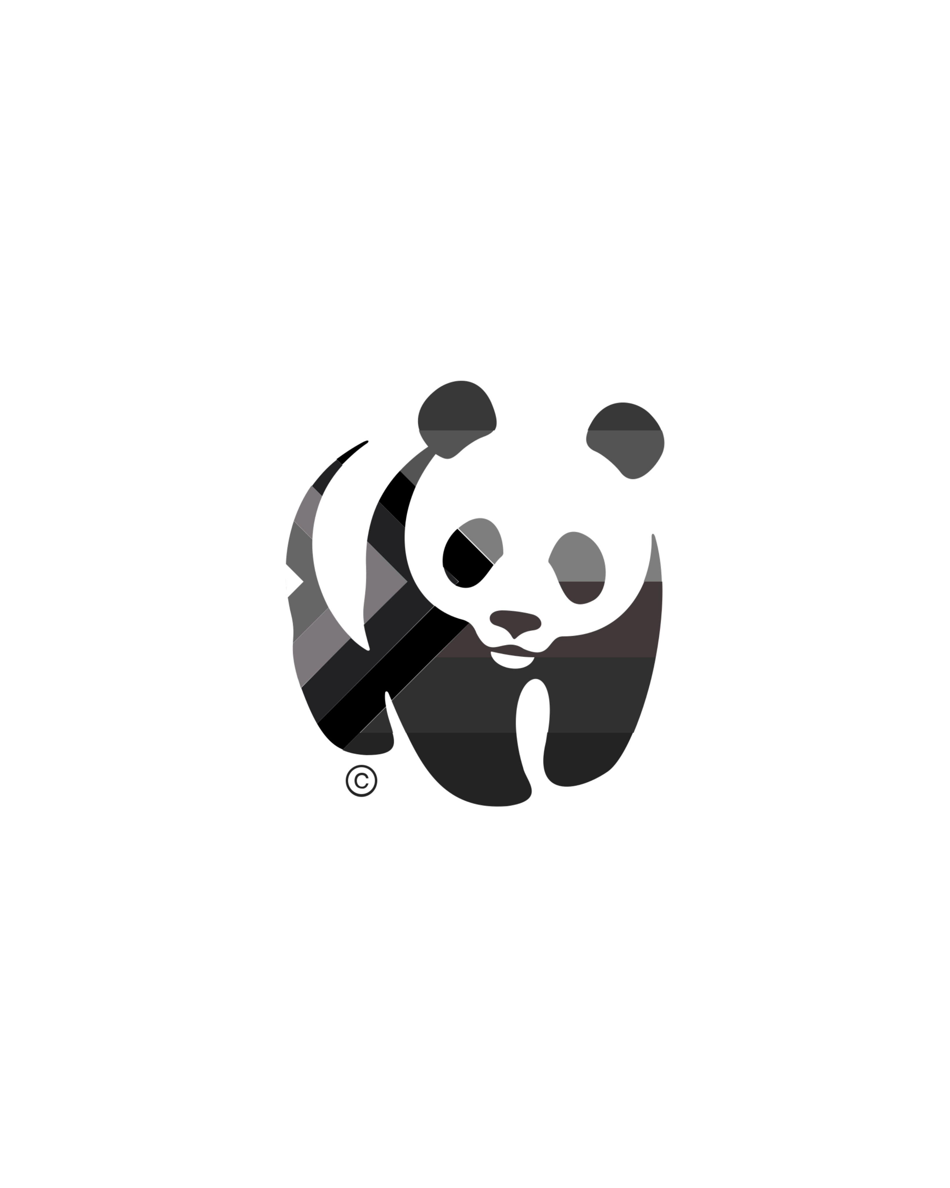 Project